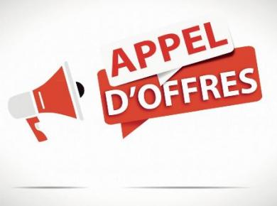 appel d’offres N° AO 01/2025